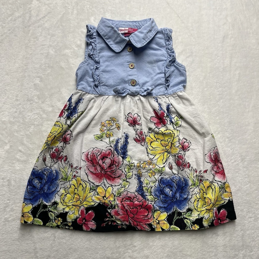 Penelope Mack Dress Baby Girl 24m Floral Ruffles Sleeveless Garden